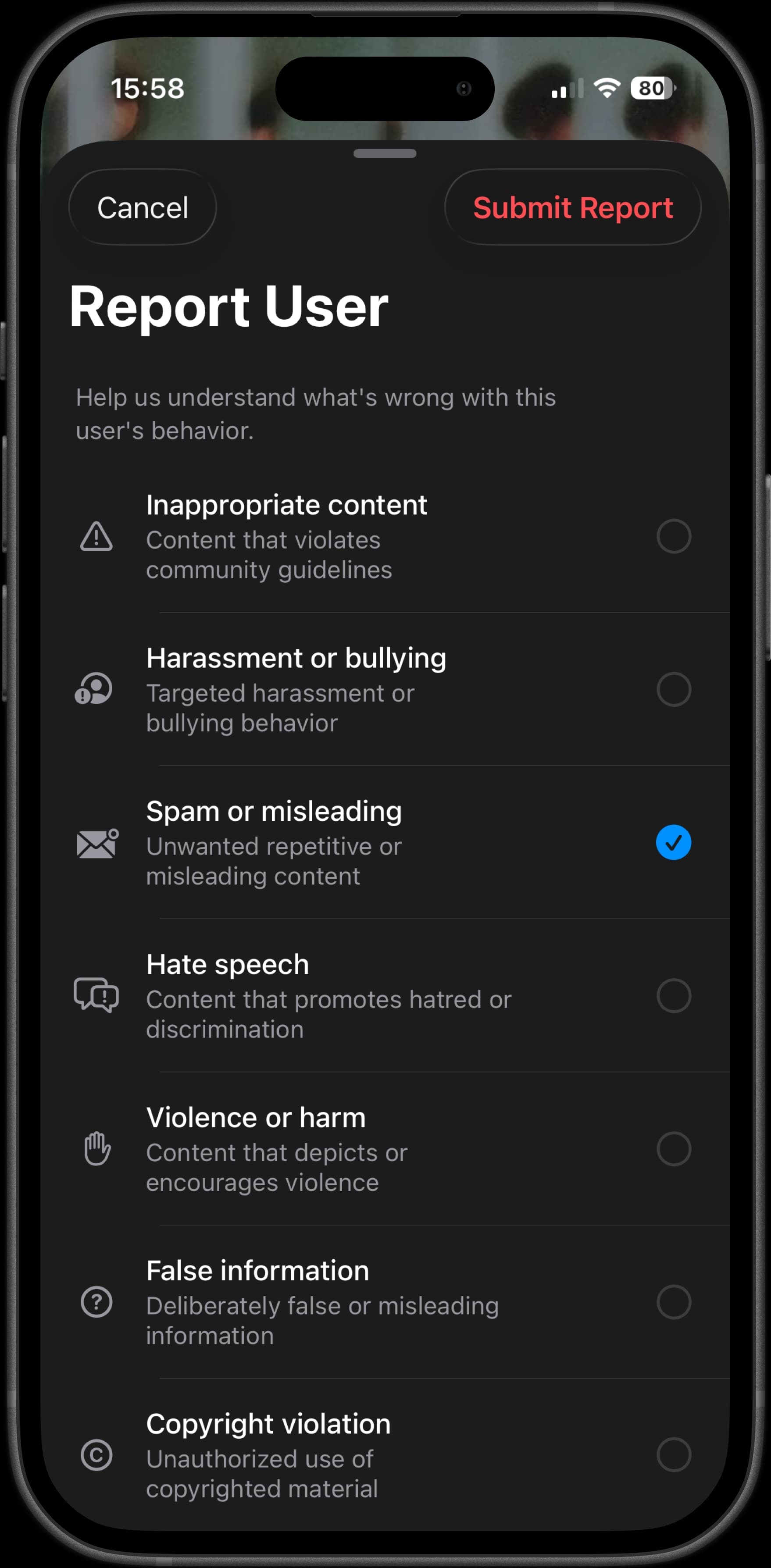 Report user interface for reporting inappropriate behaviour